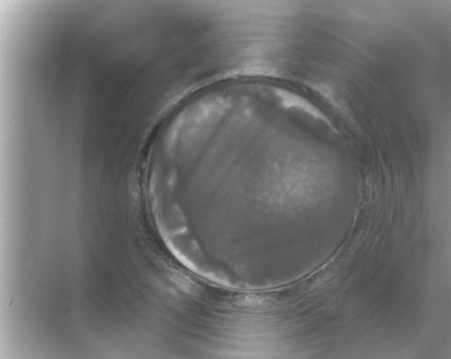 X0000070861266200606302036