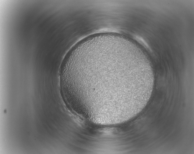 X0000070861268200606302036