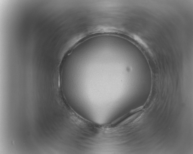 X0000070861269200606302036