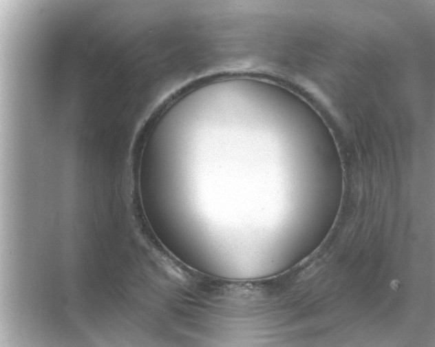 X0000070861270200606302036