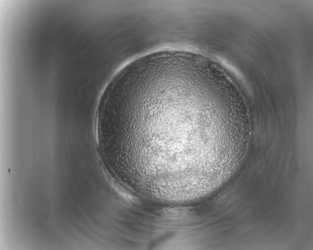 X0000070861272200606302036