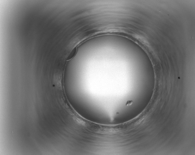 X0000070861273200606302036