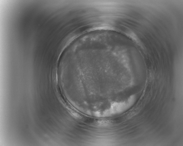 X0000070861274200606302036