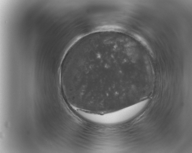 X0000070861275200606302036