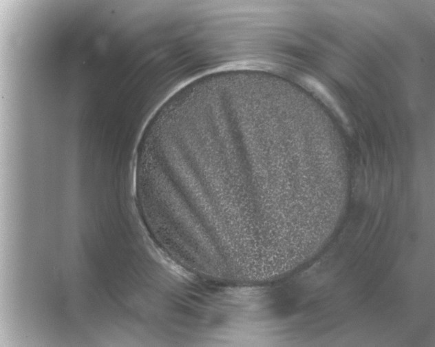 X0000070861276200606302036