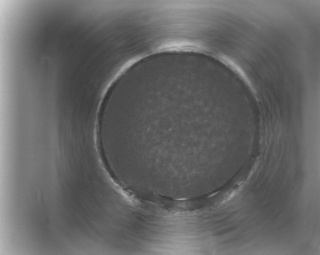 X0000070861277200606302036