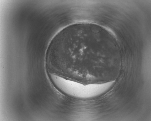 X0000070861279200606302036