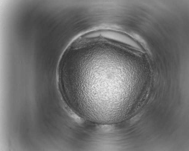 X0000070861280200606302036