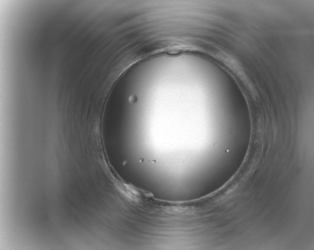 X0000070861281200606302036