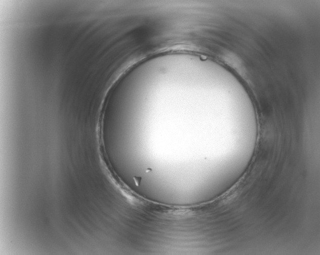 X0000070861282200606302036