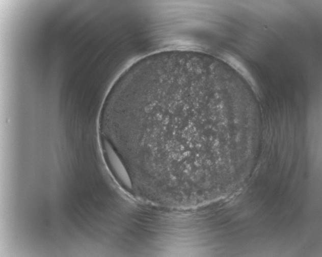 X0000070861283200606302036