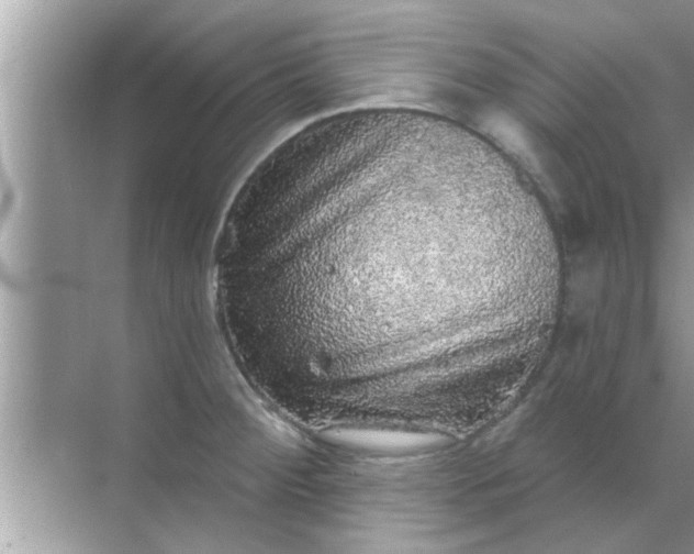 X0000070861284200606302036