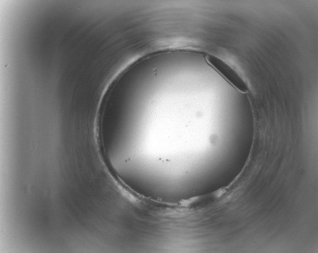 X0000070861285200606302036