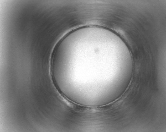 X0000070861286200606302036