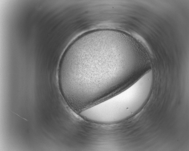 X0000070861288200606302036