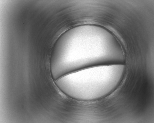 X0000070861289200606302036