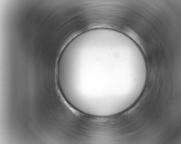 X0000070861290200606302036