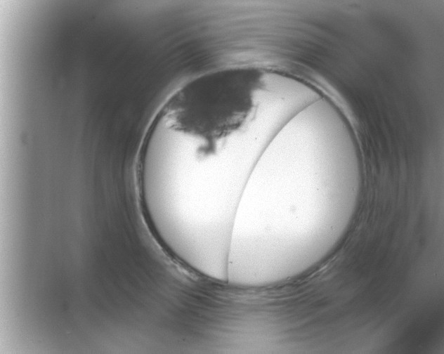 X0000070861291200606302036