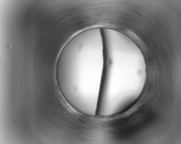 X0000070861292200606302036