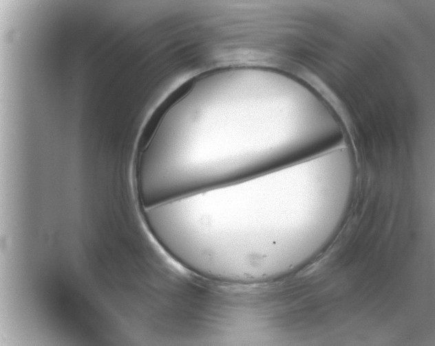 X0000070861293200606302036