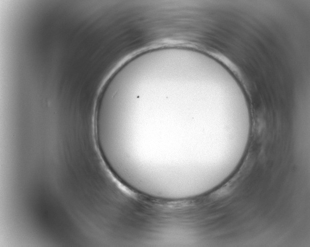 X0000070861294200606302036