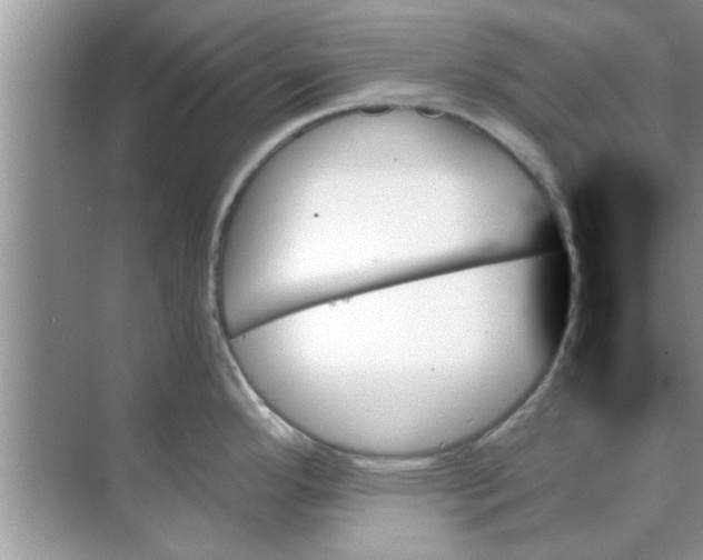 X0000070861296200606302036