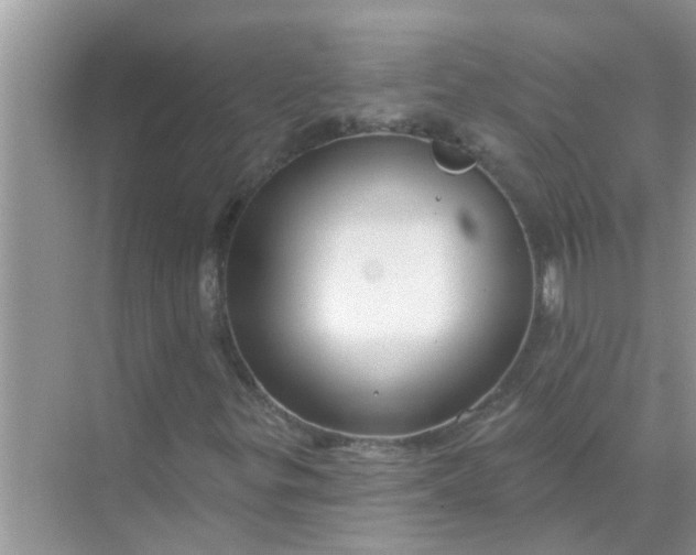 X0000070861299200606302035