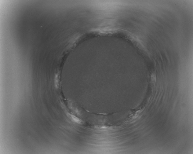 X0000070861300200606302035