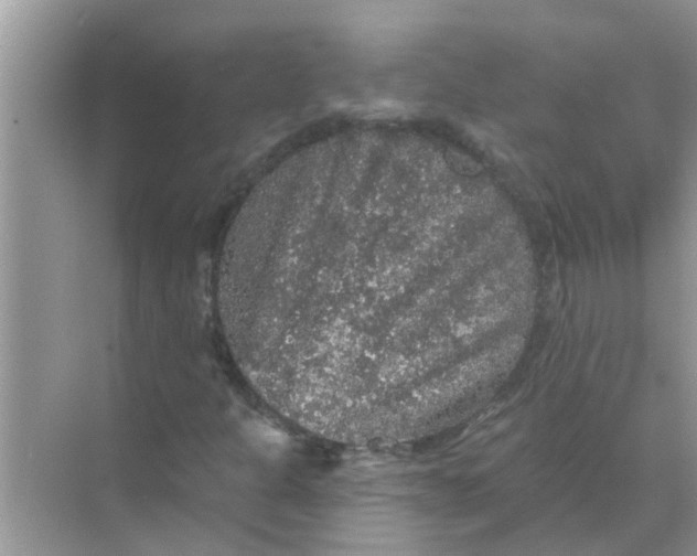 X0000070861301200606302035