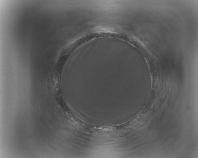 X0000070861303200606302035