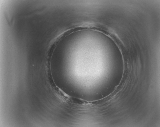 X0000070861304200606302035