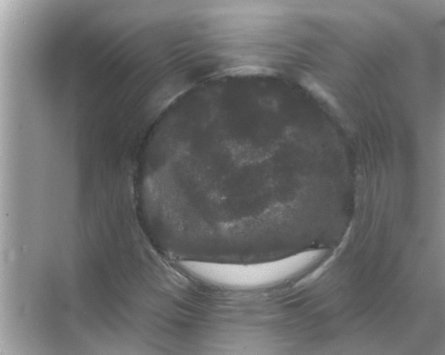 X0000070861305200606302035