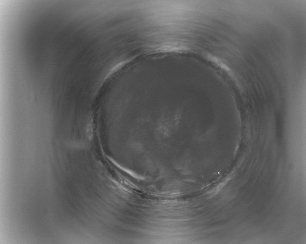 X0000070861306200606302035