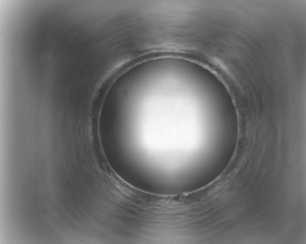 X0000070861307200606302035