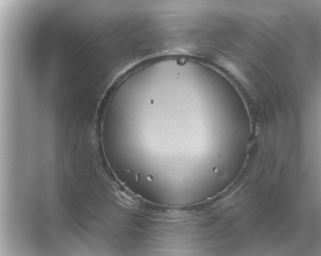 X0000070861308200606302035