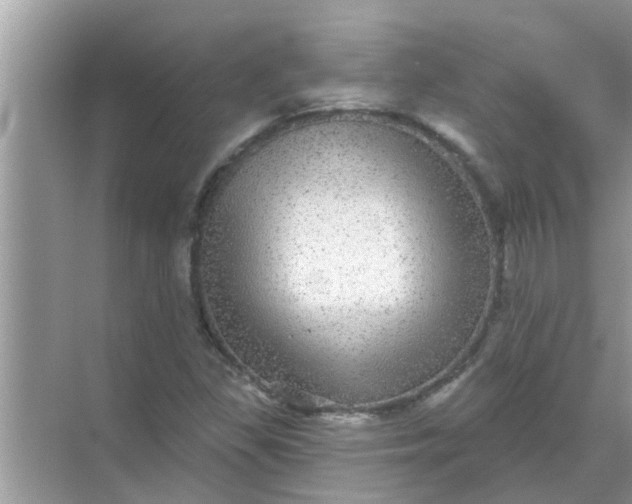 X0000070861309200606302035