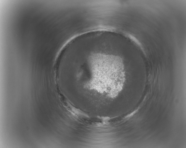 X0000070861310200606302035