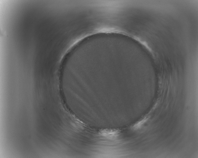 X0000070861311200606302035