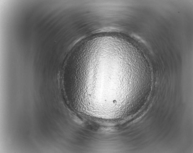 X0000070861313200606302035