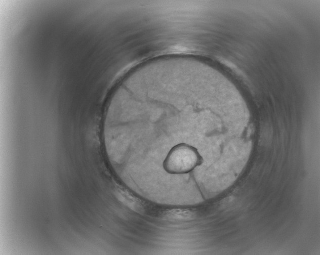 X0000070861314200606302035