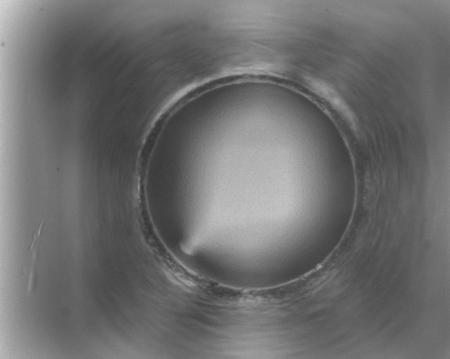 X0000070861316200606302035