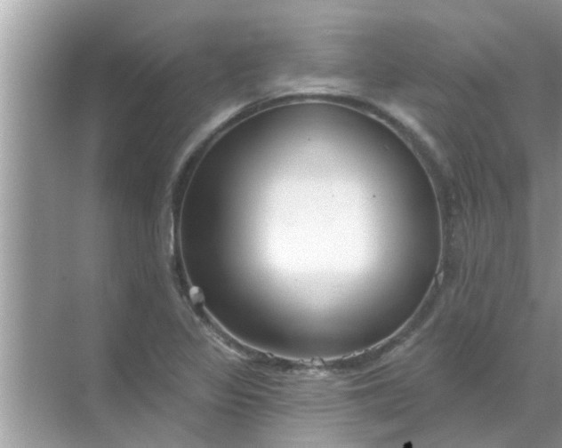 X0000070861317200606302036