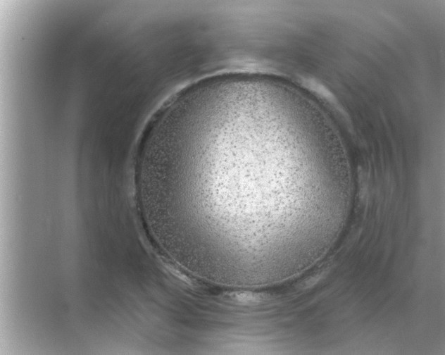 X0000070861318200606302036