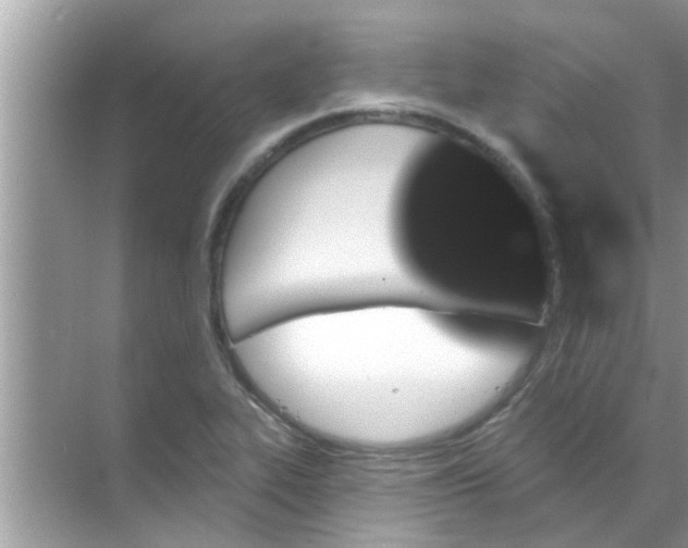 X0000070861319200606302036