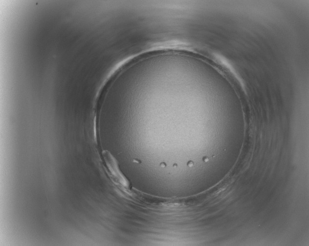 X0000070861320200606302036