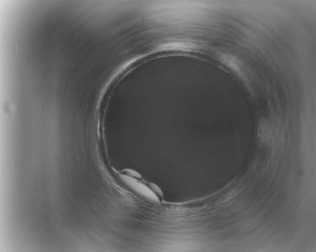 X0000070861323200606302036