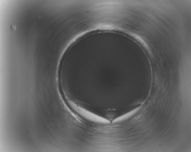 X0000070861327200606302036