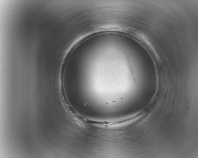 X0000070861328200606302036