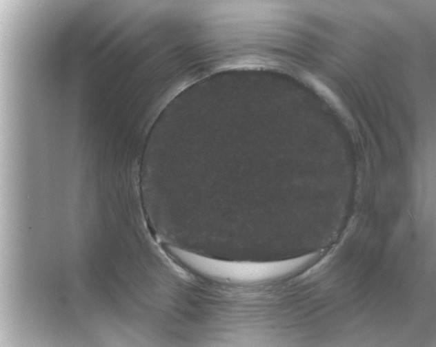 X0000070861329200606302036