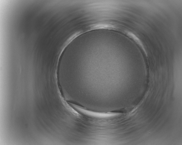 X0000070861330200606302036